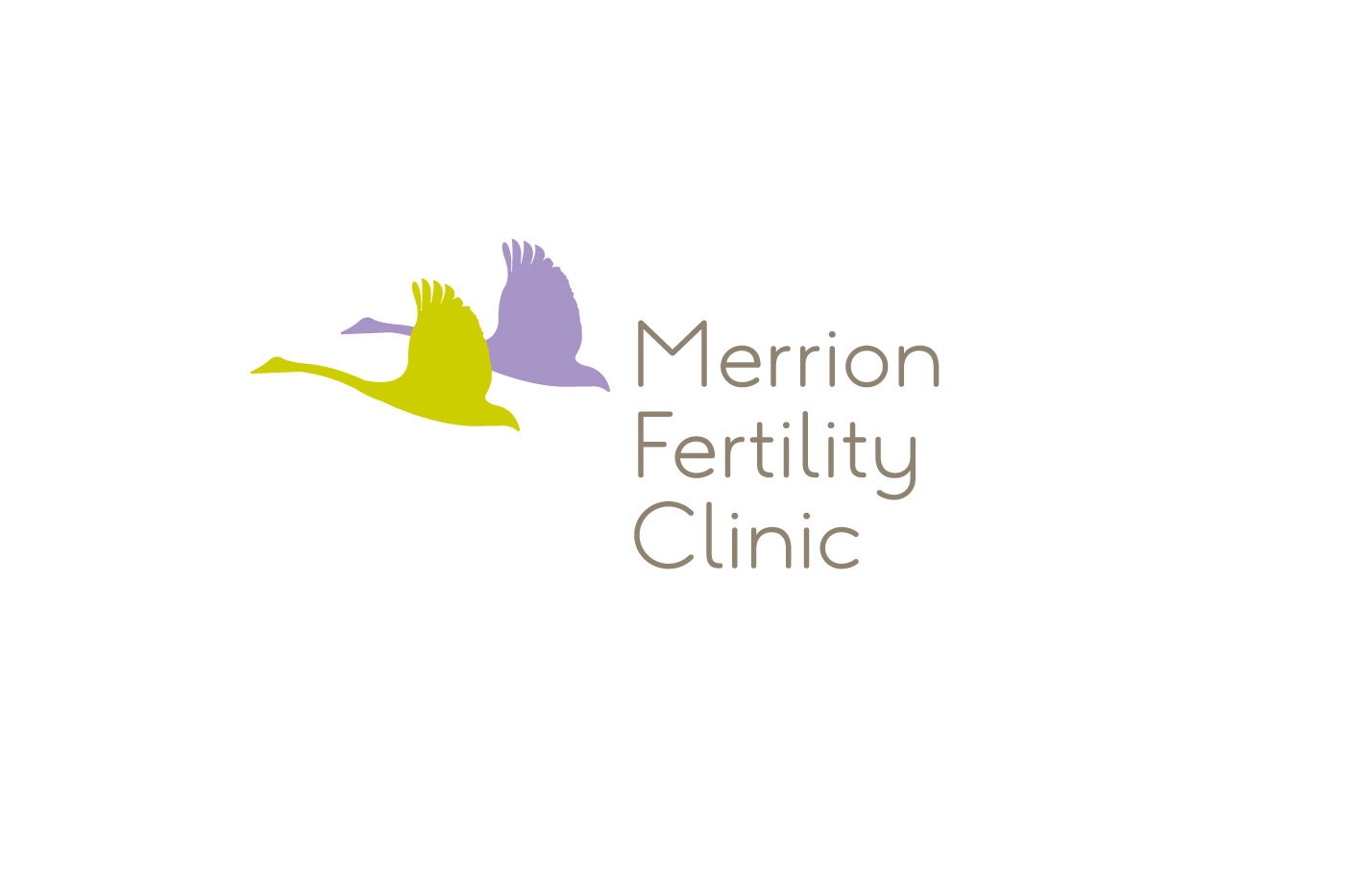 Merrion Fetal Health identity